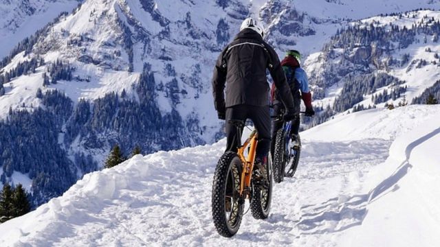 Fat bike for comfort riding